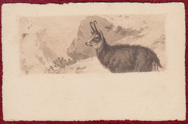 Original Postcard Correspondence Card Chamois Mountains Black &amp; White Bilingual - £12.10 GBP