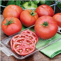 FRESH Heatmaster Tomato Seeds 20 Seeds Non GMO - $6.25