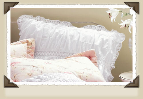 Lacey Beautiful Pillow Shams Yummy! - $39.99