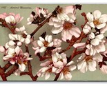 Almond Flower Blossoms on Branch UNP DB Postcard Z7 - $2.92