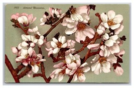Almond Flower Blossoms on Branch UNP DB Postcard Z7 - £2.29 GBP