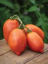 SEPTH 50 Seeds Big Mama Tomato Juicy Tomatoe Vegetable Garden Edible Food - £4.09 GBP