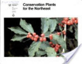 Conservation plants for the Northeast - brochure, program aid - $16.00