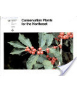 Conservation plants for the Northeast - brochure, program aid - £12.65 GBP