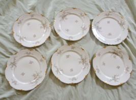 Warwick Avon Rose USA 10&quot; Dinner Plates-- Set of 6 - $22.75