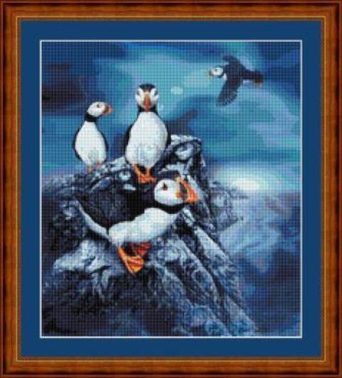 PUFFINS  - pdf cross stitch chart Original Artwork ©  Steven Michael Gar... - $12.00