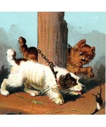 Sidney Squires &amp; Co Automatic Sofa Bed Terrier Chasing Rat Victorian Tra... - $685.71 MXN