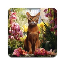 2 PCS Abyssinian Cat Coasters - £11.65 GBP