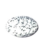05.32 Carats TCW 100% Natural Beautiful Dendritic Agate Oval Cabochon Ge... - $16.07 CAD