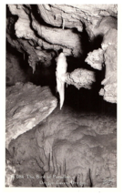 Vtg RPPC Bird of Paradise &amp; Dante&#39;s Inferno Oregon Caves Postcard by Sawyer - £4.63 GBP