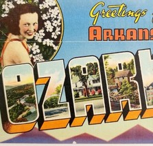 The Ozarks Arkansas Souvenir Folio Colortone 9 Prints Topographic PCBG5G - $29.99