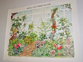 VINTAGE 1978 “HOUSE AND GARDEN PLANTS IN GREENHOUSE” ART POSTER by MARY ... - $127.53 MXN