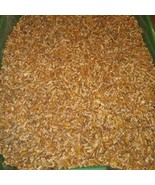 6 pounds Pecans 6 lbs of pecan Pieces New crop - $40.00