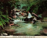 Vtg Postcard WIlmington Delaware Brandywine Springs Park Childrens Delig... - $8.86