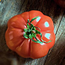 Floradel Tomato Grown To Organic Standards Garden - $12.53