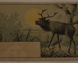Snow and Company Victorian Trade Card Deer Elk VTC 3 - $8.90