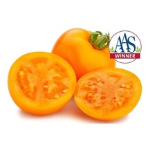 SEPTH Golden Jubilee Cherry Heirloom Tomato Seed (30 Seed&#39;s) - $4.75