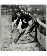 1921 Lafe Lewman Steer Bulldogging Photo Print Round Up Bucking Cowboy D... - $29.99