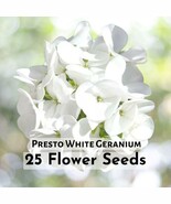 25 Presto White Geranium Seeds | Pure Snow-White Blooms | Compact, Heat-... - $16.27 CAD