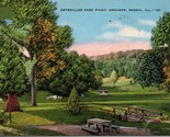 Detweiller Park Picnic Grounds Peoria IL Postcard PC530 - $4.99