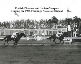 1975 - FOOLISH PLEASURE winning the Flamingo at Hialeah Park - 10&quot; x 8&quot; - £15.71 GBP