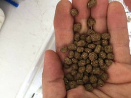 Aquatic Turtle Diet Floating Pellets Bulk Pricing Fresh Food Fast Shipping! - $14.99+