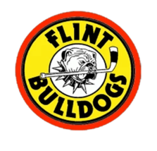 CHL Hockey Team Flint Bulldogs Defunct Logo Mens Polo XS-6XL, LT-4XLT New - £20.05 GBP+