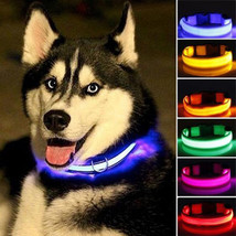 Nylon LED Dog Collar Set - Illuminate Your Pup in Style! - £21.43 GBP