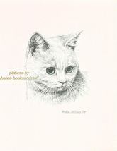 #231 short hair WHITE CAT  *  cat art print  *  pen &amp; ink drawing by Jan... - $12.50