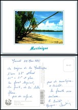 Martinique Postcard - Sainte Anne, Salines Beach Be - £2.32 GBP