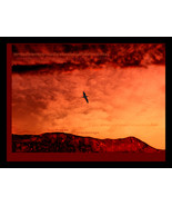 Art photography, artist -Rene Castillo-Ramos, &quot;Enlightened traveler&quot; - $1,157.50 CAD