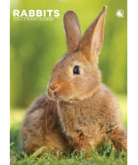 Rabbits Calendar 2026 - $27.15 CAD