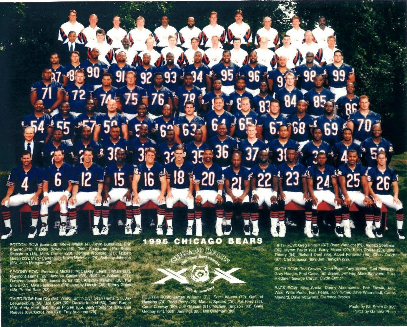 Primary image for 1995 CHICAGO BEARS 8X10 TEAM PHOTO FOOTBALL NFL PICTURE