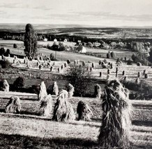 Norway Farm Grain Harvest Stacks Photograph Folk Life Agriculture c1900-1920s E9 - £31.28 GBP