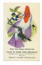 Circa 1900 Frears Troy Cash Bazaar NY trade card exotic bird summer sale - $19.99
