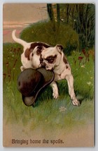 Bulldog With Hat Bringing Home The Spoils PFB Series 8397 Postcard W26 - £9.57 GBP