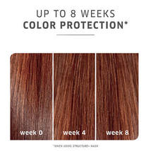 Wella ColorMotion+ Color Protecting Shampoo, Liter image 4