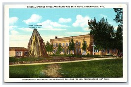 Mineral Springs Hotel &amp; Apartments Thermopolis Wyoming WY UNP Linen Postcard S13 - £4.86 GBP