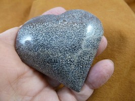 DP10-17 Real DINOSAUR POOP Puffy heart shaped Utah Dino Coprolite Fossil display - £31.91 GBP