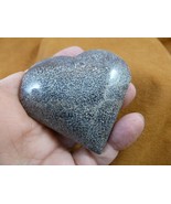 DP10-17 Real DINOSAUR POOP Puffy heart shaped Utah Dino Coprolite Fossil... - €34,90 EUR