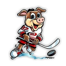 Carolina Hurricanes Mascot  Precision Cut Decal / Sticker  - £3.08 GBP+