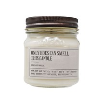 SOY ONLY HOES CAN SMELL THIS CANDLE  SEA SALT BREEZE 8 ounces - $527.23 MXN