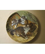 GONE FISHING: MAINE COONS Cat collector plate Amy Brackenbury CAT TALES - £23.52 GBP
