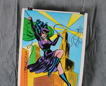 Vintage DC Poster - Catwoman 1978 DC Poster Book - Paper Poster - $35.00
