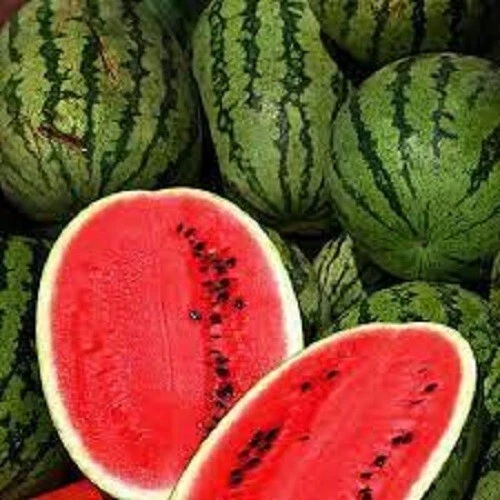 Rare Premium All Sweet Watermelon Fresh Heirloom Seeds One of the sweete... - $3.21