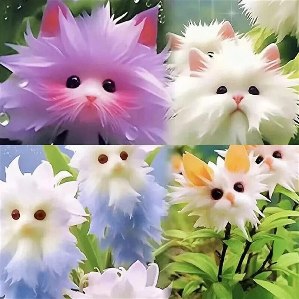 NEW 50 of Big Flower Faced Cat Orchid Seeds - Full Of Fragrant Potted Garden - $6.48