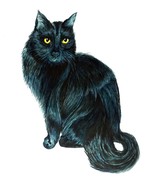 Black Cat High Quality Vinyl Decal Sticker Car Cooler Tumbler Laptop Tablet Cup - $6.95 - $23.95