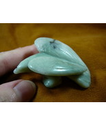 (Y-BIR-EA-ST-704) Green white EAGLE eagles bird Jasper stone gemstone ca... - $321.57 MXN