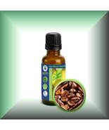 Coffee (Coffea Arabica) Absolute Essential Oil (CO2) - €5,12 EUR+