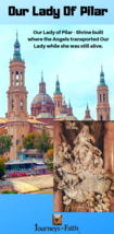 Our Lady Of Pilar DVD - $8.33 CAD